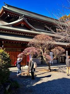 三嶋大社　神鹿園 3枚目
