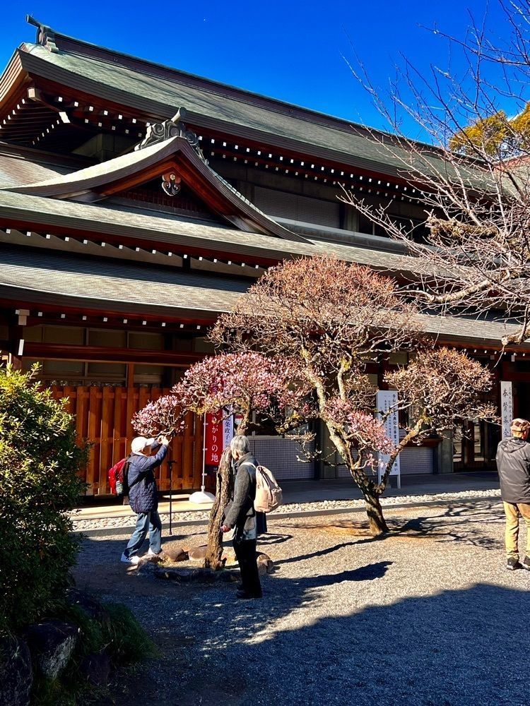 ビンカさんが投稿した三嶋大社　神鹿園に関する口コミの画像