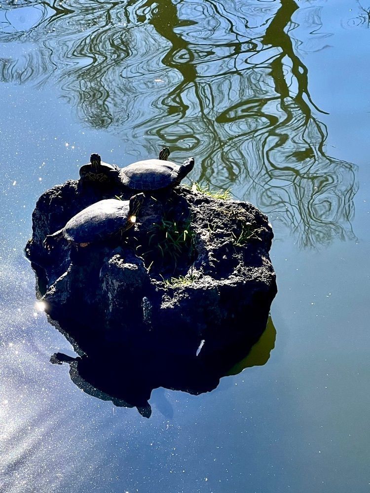 ビンカさんが投稿した三嶋大社宝物館に関する口コミの画像