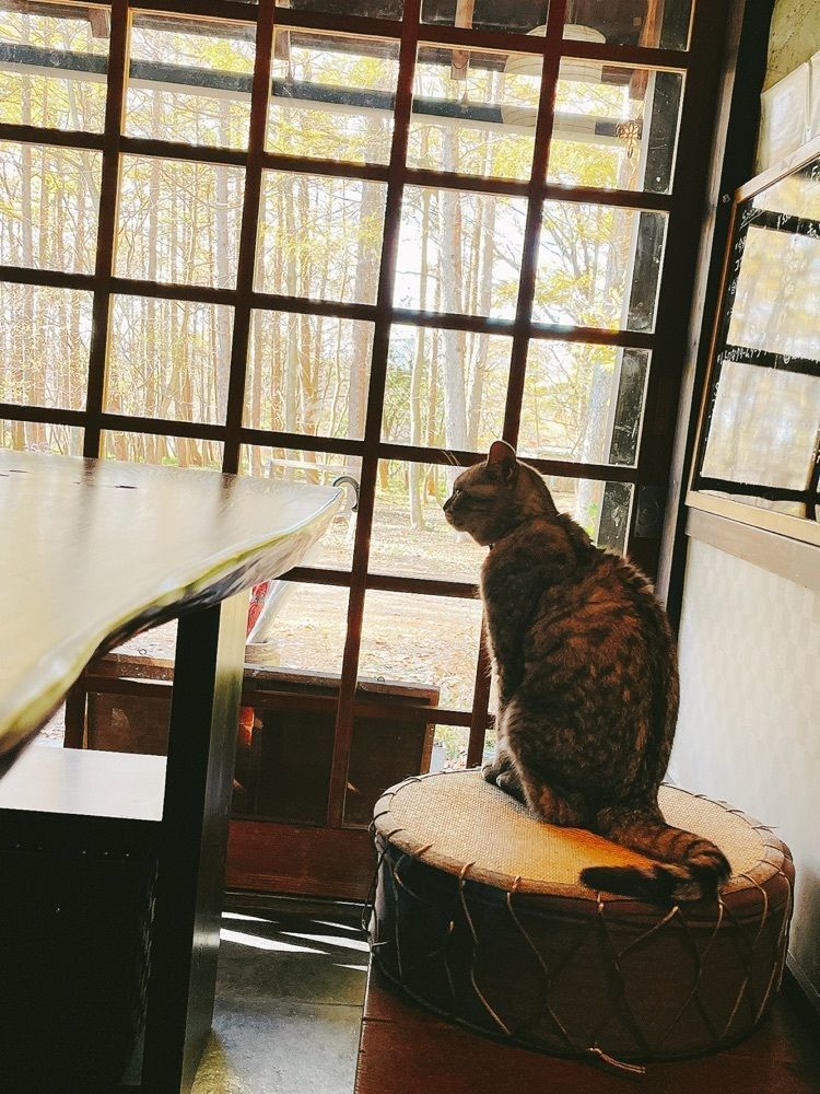 猫なぎ。さんが投稿した古民家のカフェ夢屋に関する口コミの画像