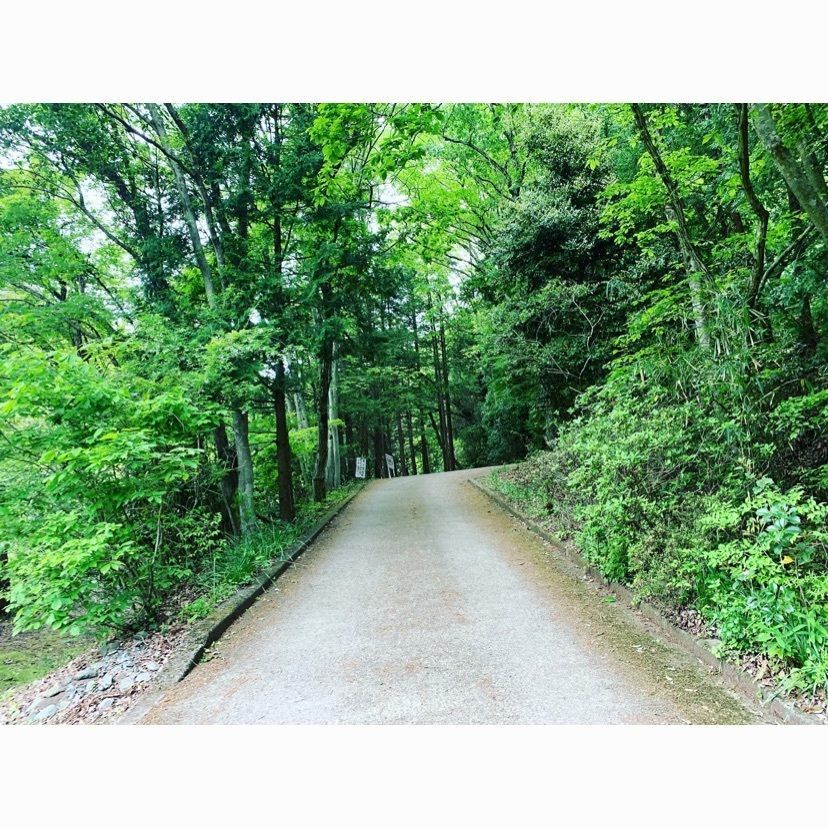 eruna.さんが投稿した滝沢園キャンプ場に関する口コミの画像