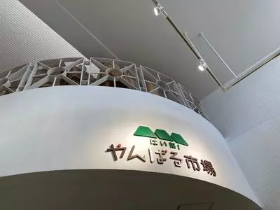 ファーマーズマーケットやんばる はい菜！やんばる市場