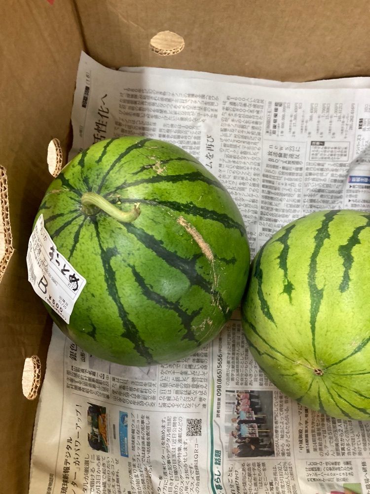 ゴンさんが投稿したファーマーズマーケットやんばる はい菜！やんばる市場に関する口コミの画像