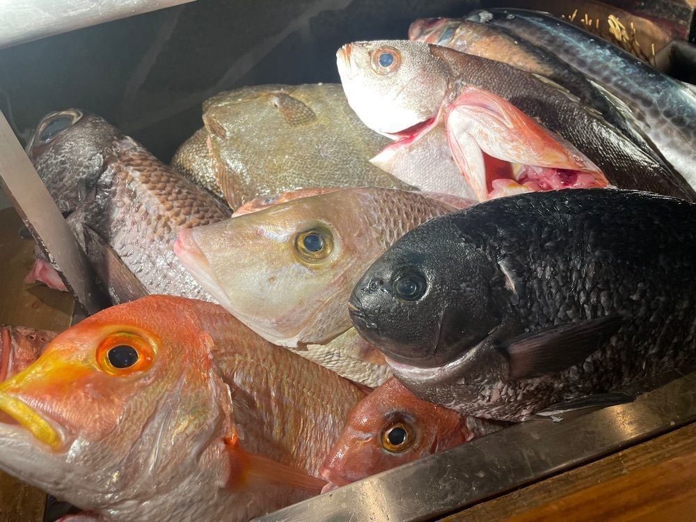shiii0317さんが投稿したなきざかな 新宿店はなれ（【旧店名】魚米）に関する口コミの画像