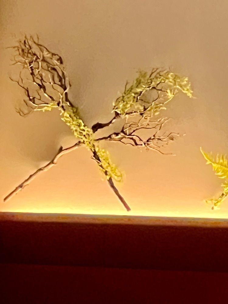 ビンカさんが投稿したラウンジ アゼリア（Lounge AZALEA）に関する口コミの画像