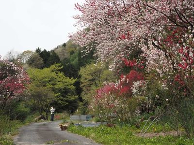 施設画像