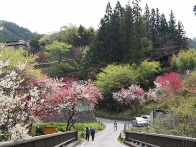 施設画像