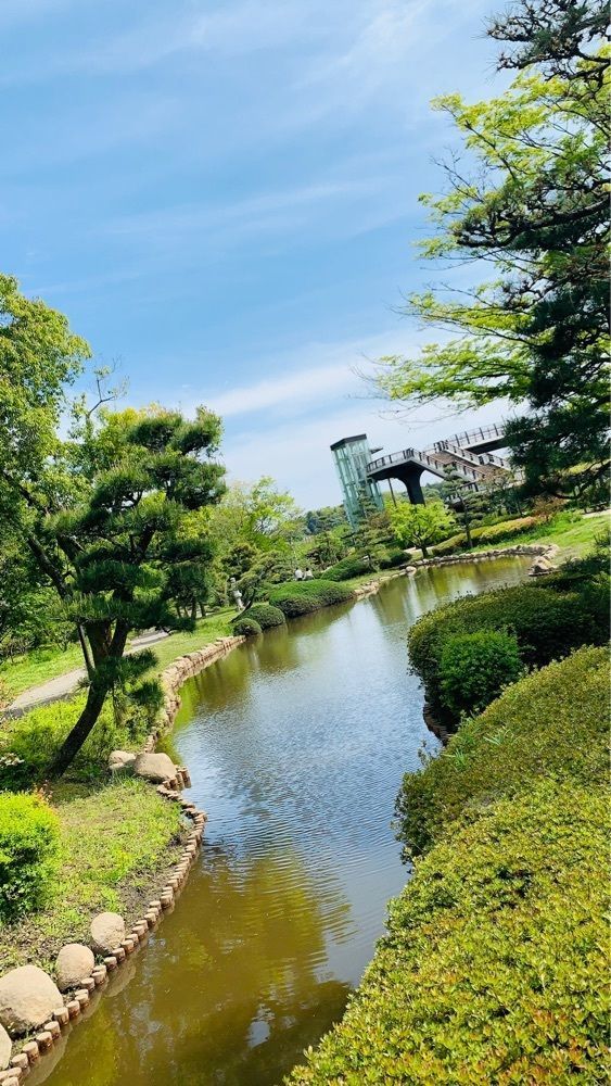 special_sunshine_53a8さんが投稿した偕楽園のツツジに関する口コミの画像