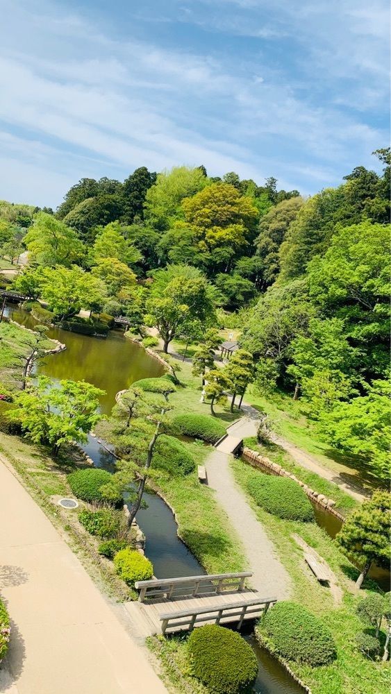 special_sunshine_53a8さんが投稿した偕楽園のツツジに関する口コミの画像