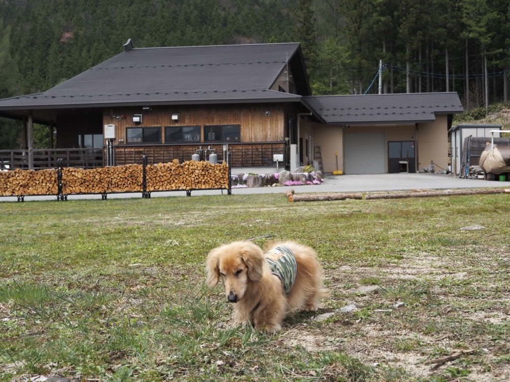 Howl Monさんが投稿した清内路峠に関する口コミの画像
