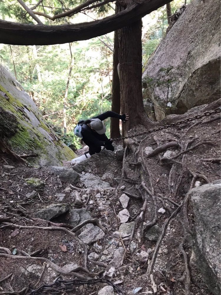 白たぬきさんが投稿した三倉岳に関する口コミの画像