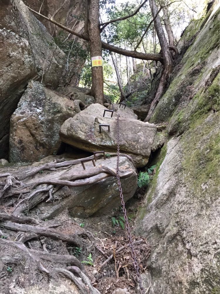 白たぬきさんが投稿した三倉岳に関する口コミの画像