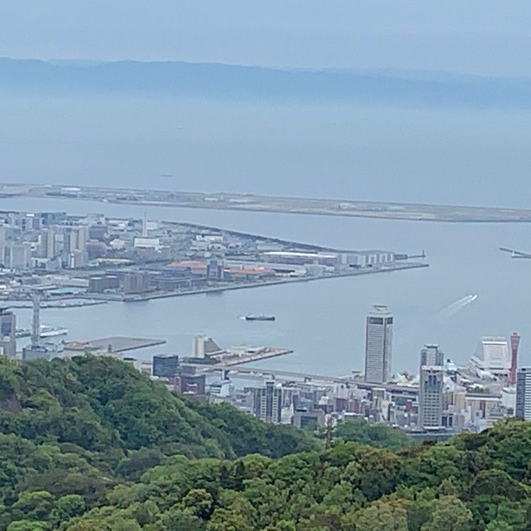 梅⭐︎ゆうじさんが投稿した紅葉の茶屋に関する口コミの画像