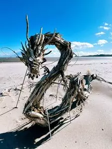 野蒜海岸