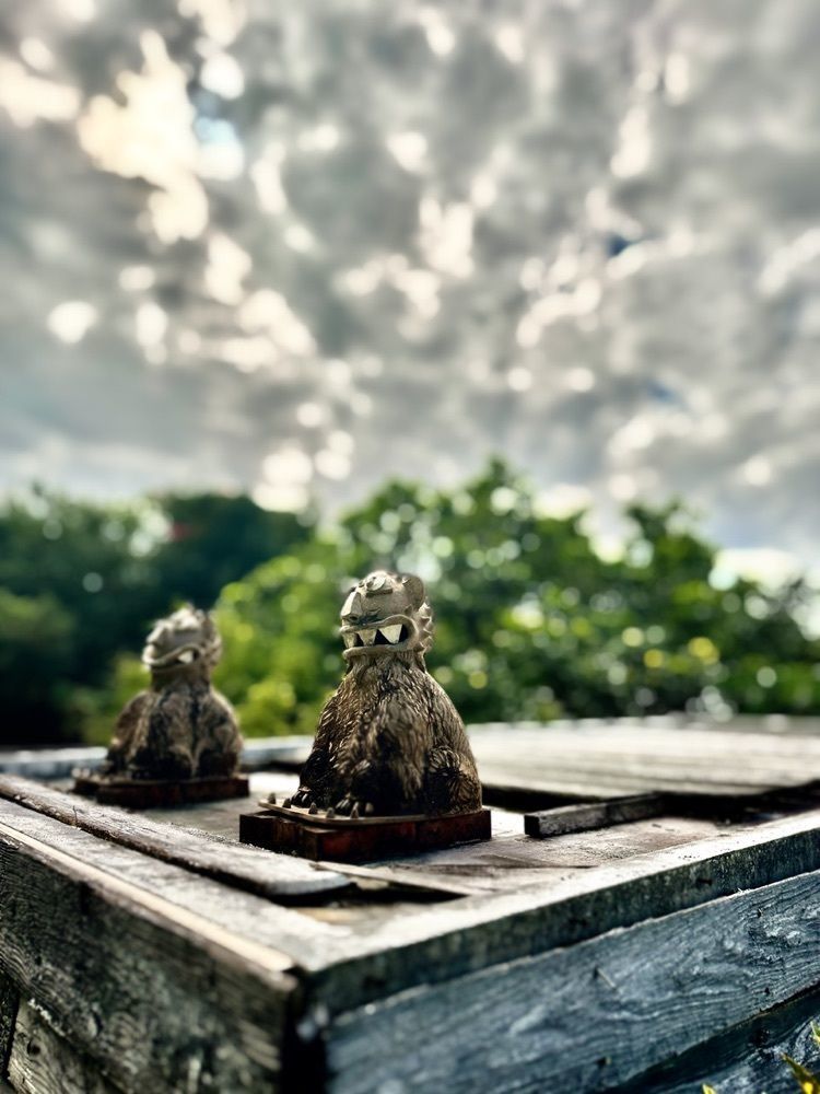 marco_travelnoteさんが投稿した浜辺の茶屋（hamabe no chaya）に関する口コミの画像