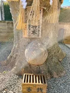 須賀神社拝殿上り龍