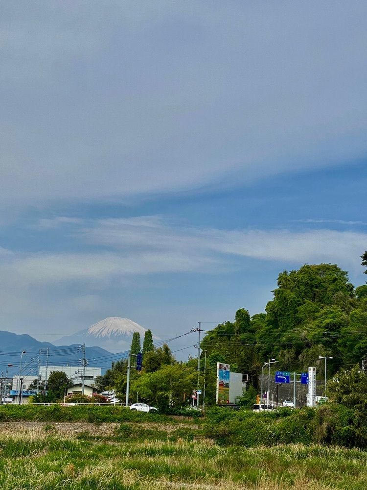 ビンカさんが投稿した渋田川河畔芝桜に関する口コミの画像