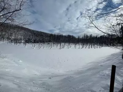 白金青い池