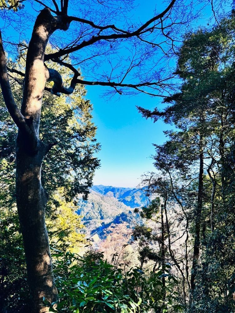 frannyさんが投稿した御岳山（埼玉県秩父市）に関する口コミの画像
