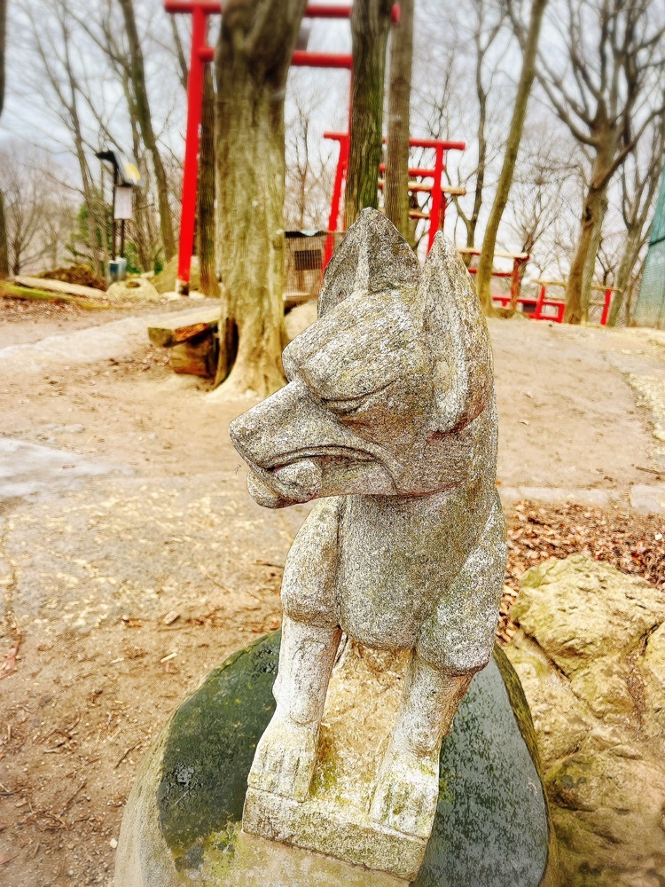 宮城蔵王 きつね村（MIYAGIZAO きつね村）