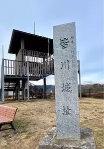 皆川城址