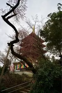 高幡不動尊金剛寺 1枚目