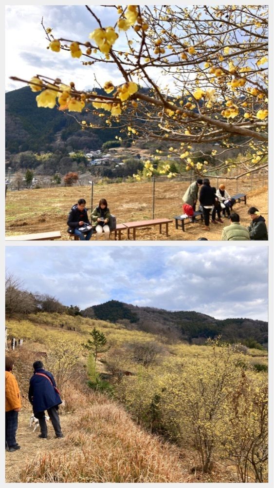 delicious_museum_7212さんが投稿した松田町観光農園に関する口コミの画像