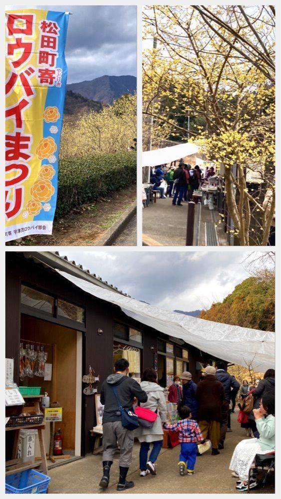 delicious_museum_7212さんが投稿した松田町観光農園に関する口コミの画像