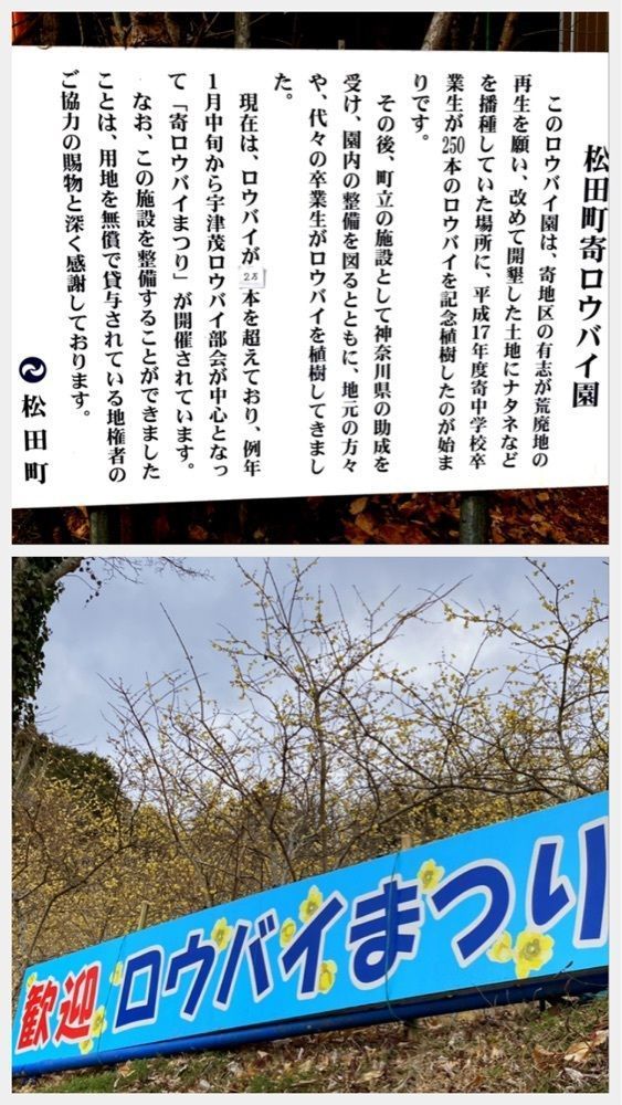delicious_museum_7212さんが投稿した松田町観光農園に関する口コミの画像