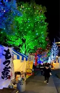大手前通り西側歩道