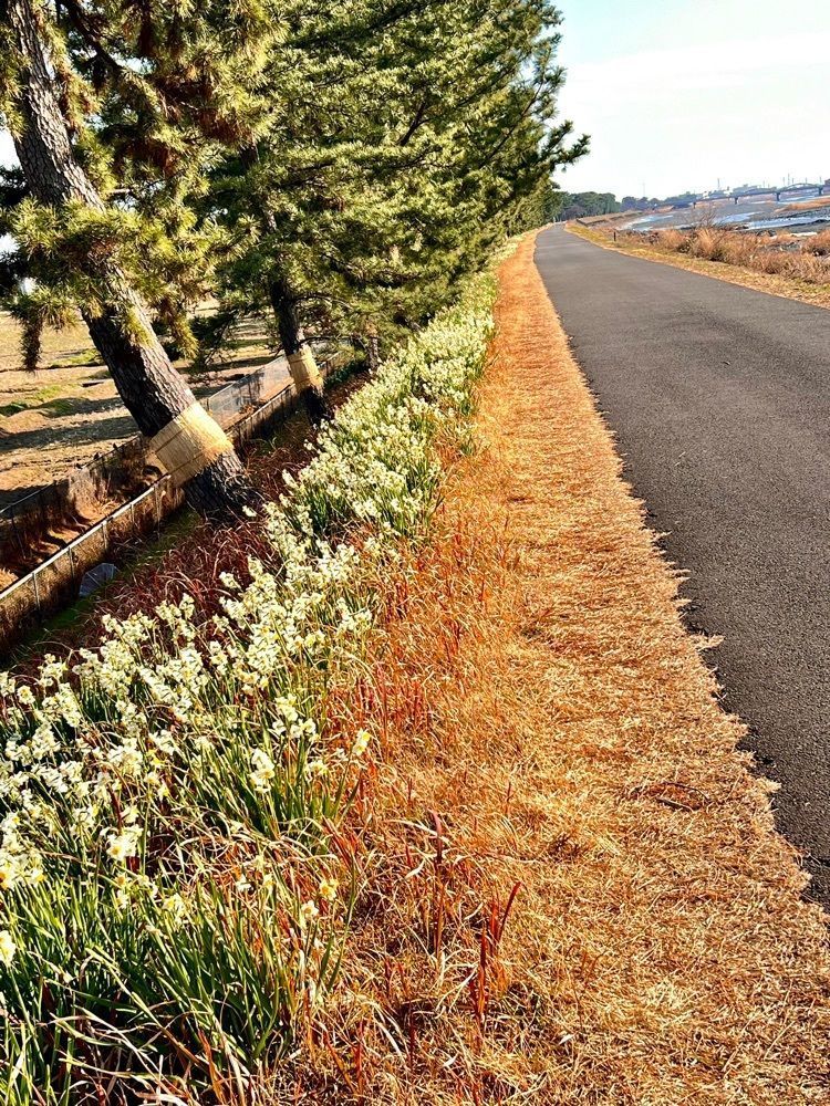 ビンカさんが投稿したセブンイレブン 小田原東栢山店（SEVEN ELEVEN）に関する口コミの画像