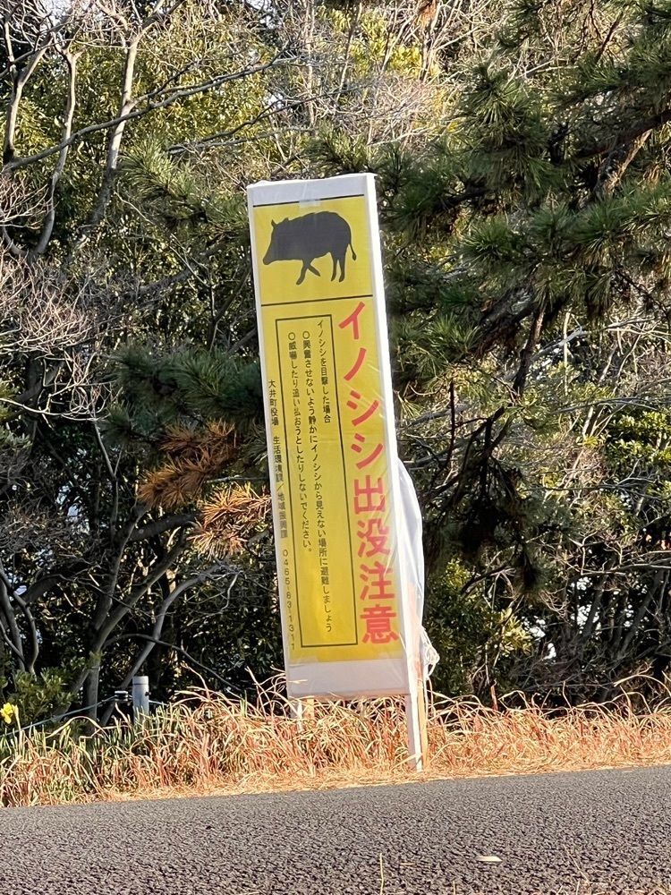 ビンカさんが投稿したセブンイレブン 小田原東栢山店（SEVEN ELEVEN）に関する口コミの画像