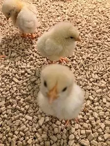 イオンモール 甲府昭和
