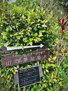 山の茶屋 楽水(らくすい) 2枚目