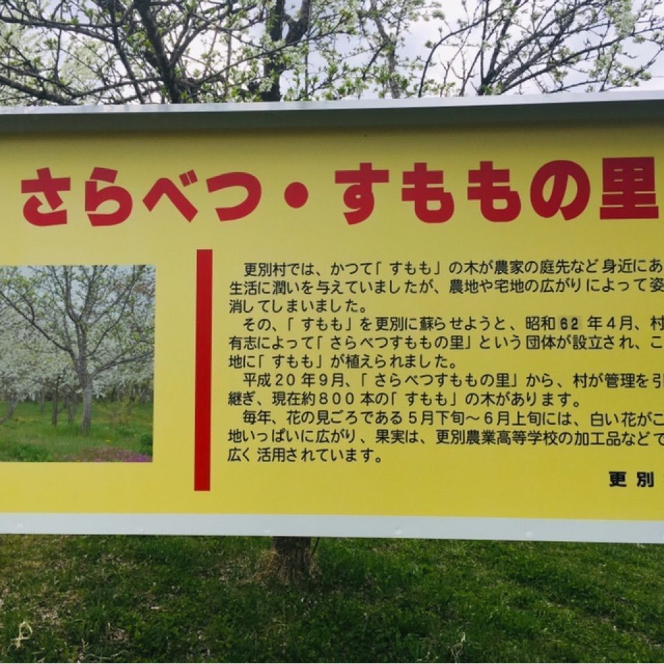 yoshiさんが投稿したさらべつすももの里に関する口コミの画像