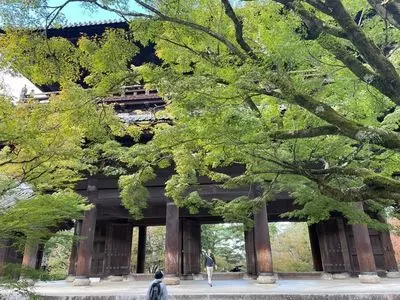 南禅寺（静岡県河津町）