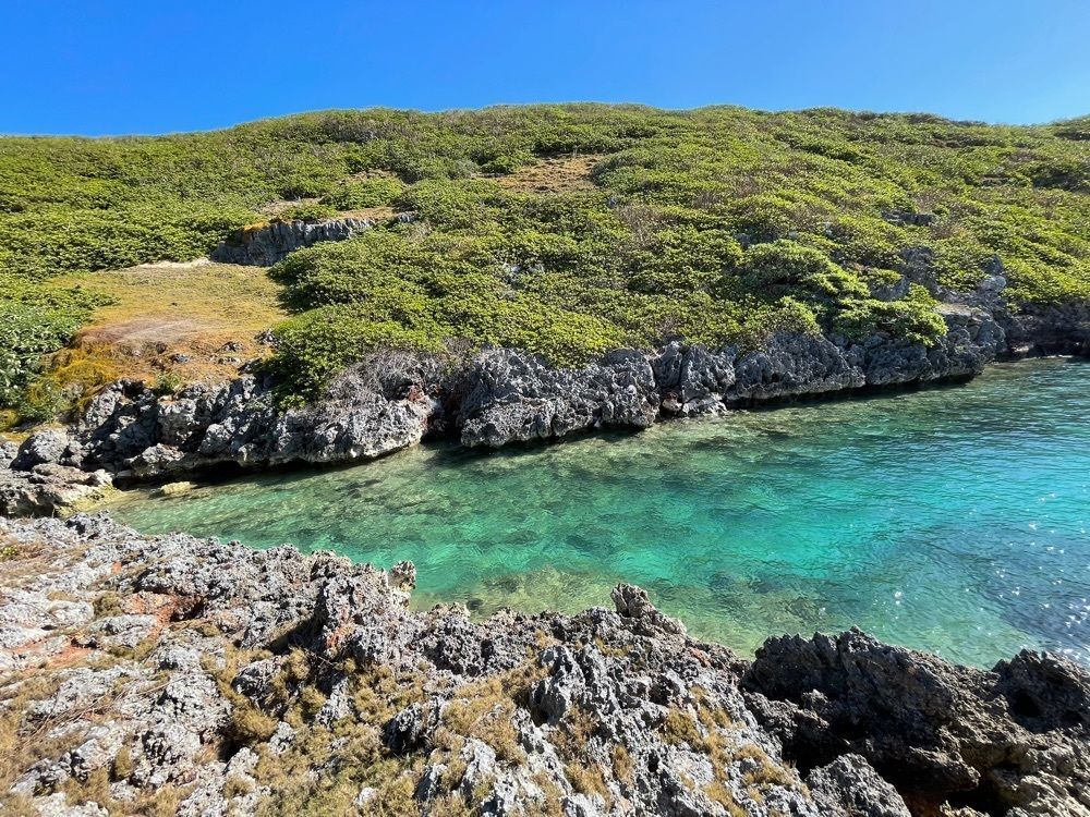 さあやあかあさんが投稿した南島に関する口コミの画像