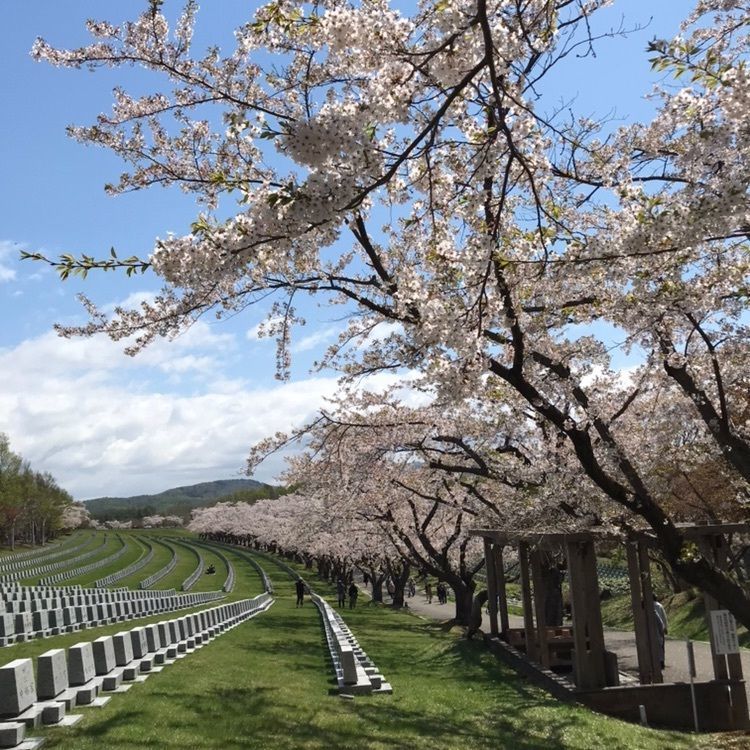 marco14450さんが投稿した戸田記念墓地公園に関する口コミの画像