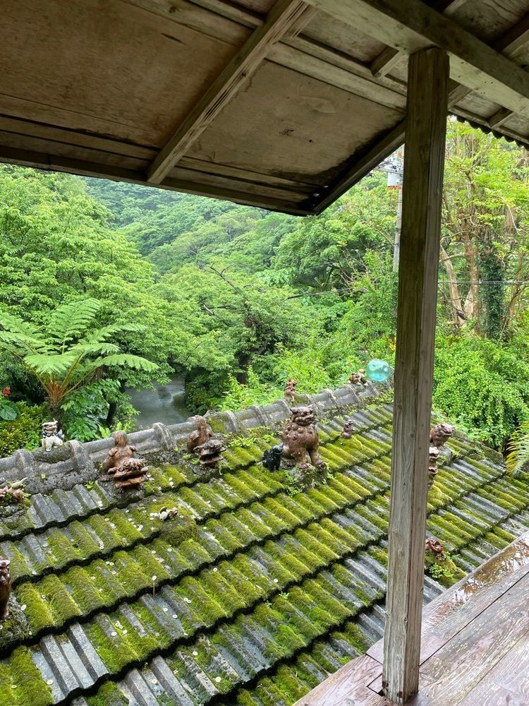 lisakoさんが投稿したやちむん喫茶シーサー園（ヤチムンキッサシーサーエン）に関する口コミの画像