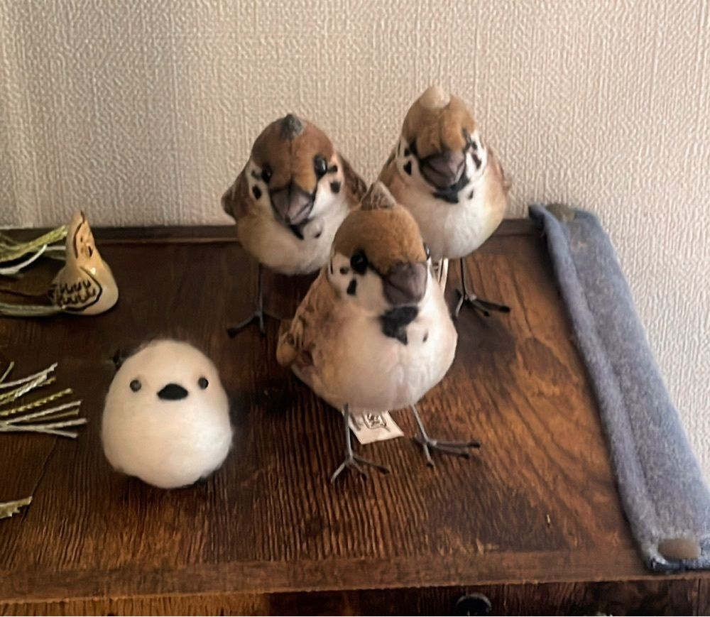 みかんさんが投稿したスズメノツノに関する口コミの画像