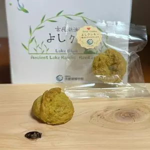 ミュージアムショップ おいでや