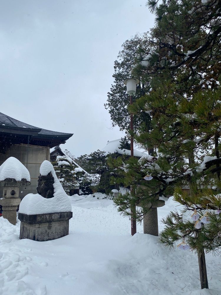 chiakiiiさんが投稿した智恩寺（京都府宮津市）に関する口コミの画像