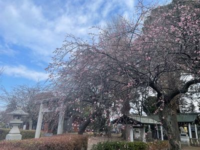施設画像