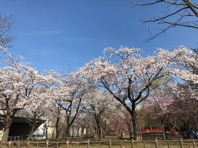 施設画像