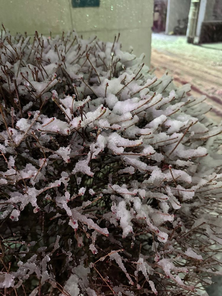 yokomanさんが投稿した東京染井温泉 サクラ（SAKURA）に関する口コミの画像