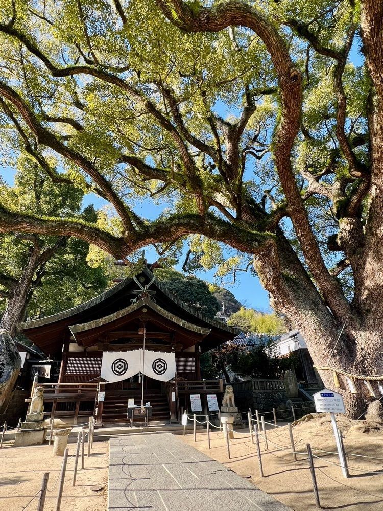 yuyuさんが投稿した艮神社に関する口コミの画像