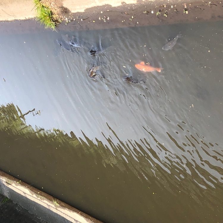 タッキーさんが投稿した西永福駅に関する口コミの画像