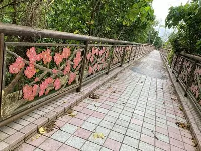 名護城公園