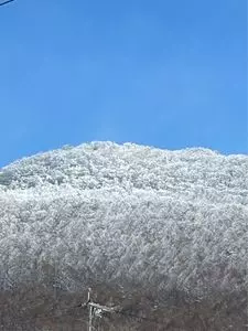 丸屋食堂