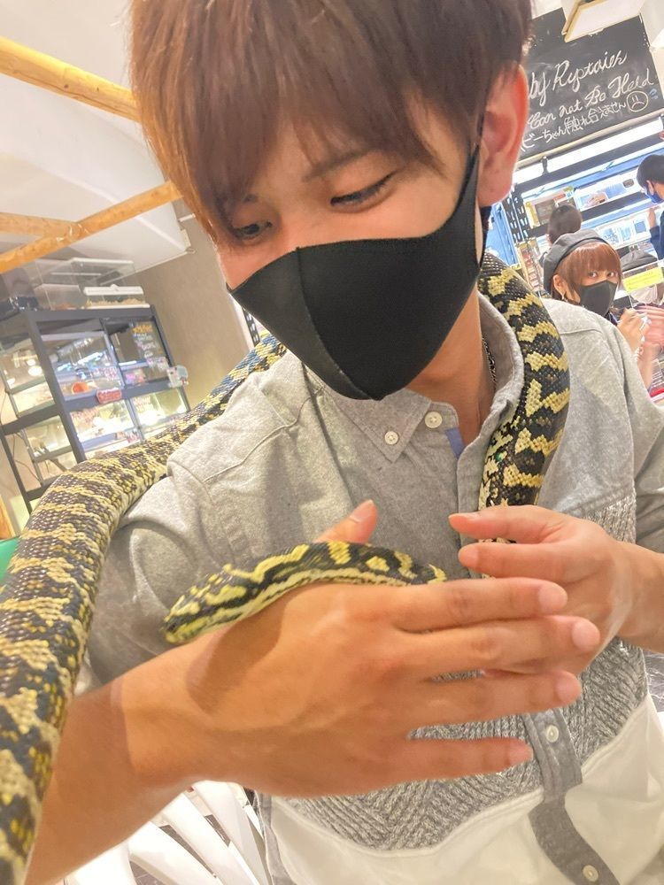 sisa_okcさんが投稿した爬虫類カフェ ロックスターに関する口コミの画像